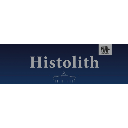 Histolith Spachtelmassen 